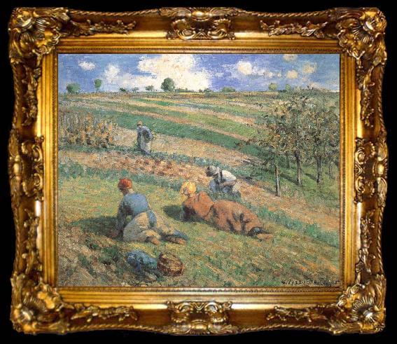 framed  Camille Pissarro Field work, ta009-2